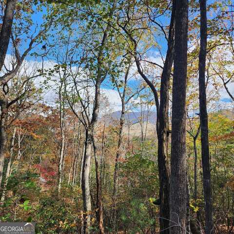 Lot 10 Enchantment Way, Hiawassee, GA 30546