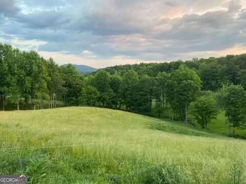 Lot 22 Lower Ridge Trail, Morganton, GA 30560