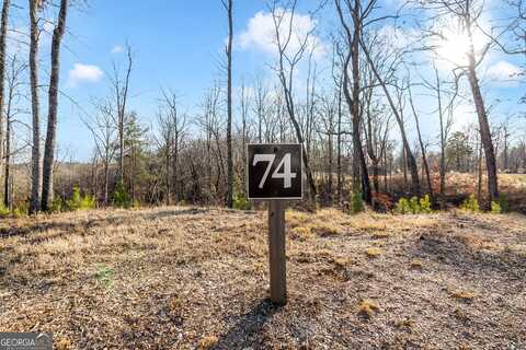 54 River Overlook Lane, Ellijay, GA 30540