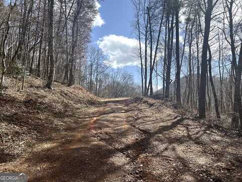 0 Firetower, Jasper, GA 30143