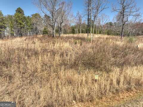 2 Arbor Creek, Mineral Bluff, GA 30559