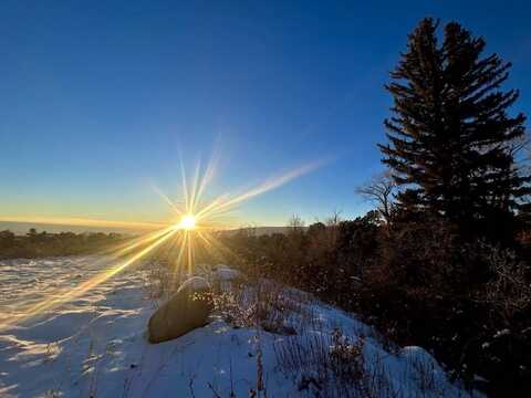 Tbd Surface Creek Road, Cedaredge, CO 81413