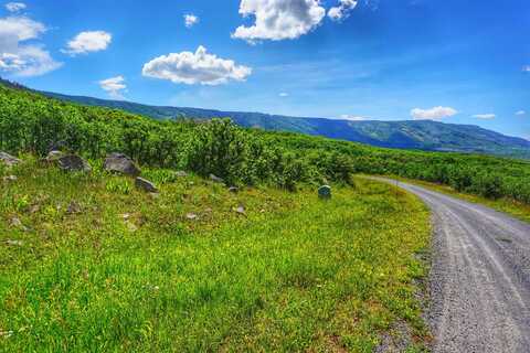 (parcel 6) Tbd Highway 65, Mesa, CO 81643