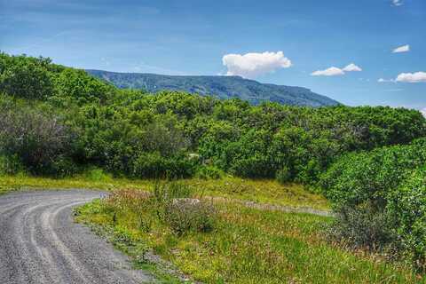 (parcel 7) Tbd Highway 65, Mesa, CO 81643