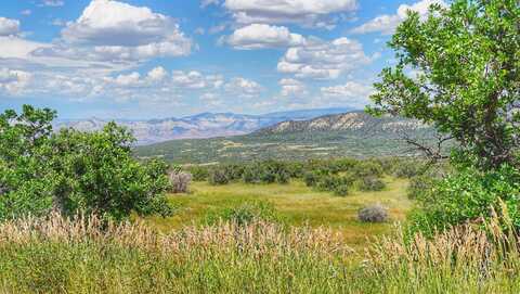 (parcel 8) Tbd Highway 65, Mesa, CO 81643