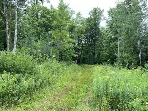 On JOE SNOW RD, Merrill, WI 54452