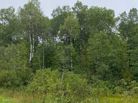On HAGAR CITY RD, Merrill, WI 54452