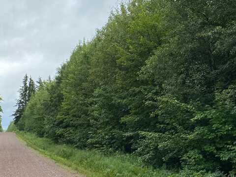On JOE SNOW RD, Merrill, WI 54452