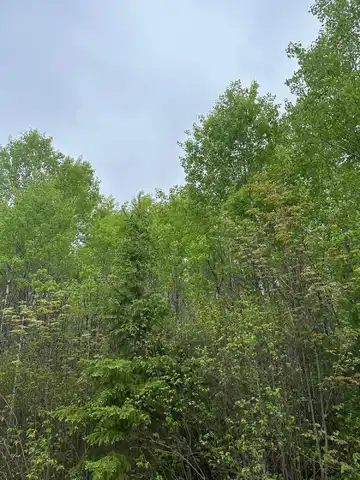 On BURROWS LAKE RD, Tomahawk, WI 54487
