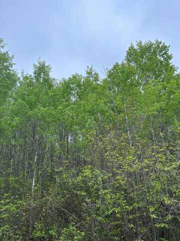 On BURROWS LAKE RD, Tomahawk, WI 54487