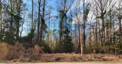 0 Niblick Road, Grifton, NC 28530