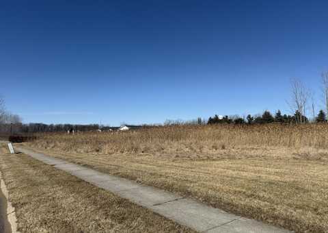 Orchard Street, Capac, MI 48014