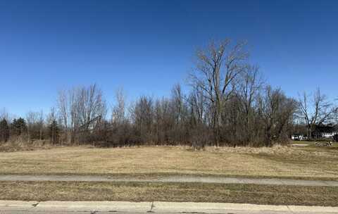 Orchard Street, Capac, MI 48014