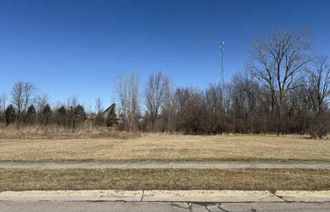 Orchard Street, Capac, MI 48014