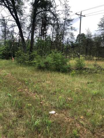Vl S Forman Road, Idlewild, MI 49642