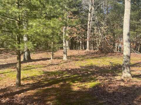 4007 Riverview Drive, Hesperia, MI 49421