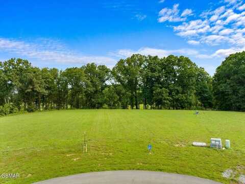 418 Nightfall Lane, Baneberry, TN 37890
