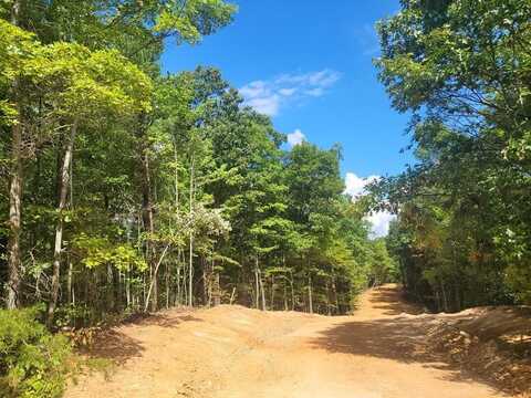 Splashaway Road lot: 8, Newport, TN 37821