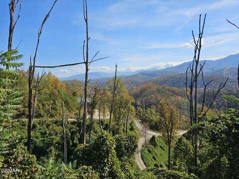 639 Kristis Place, Gatlinburg, TN 37738