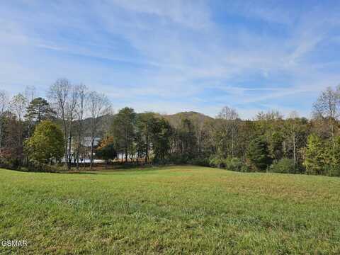 261 White Swan Drive, Vonore, TN 37885