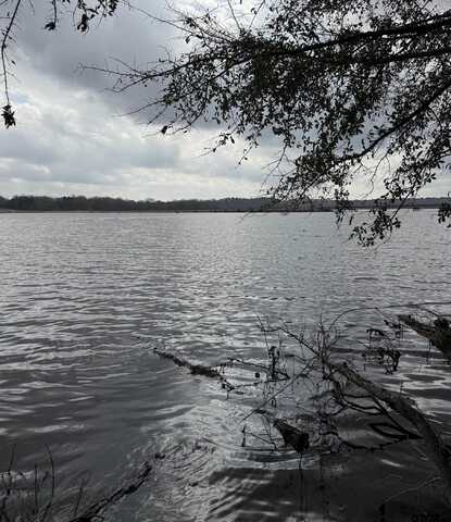 TBD PR 4080, Gilmer, TX 75644