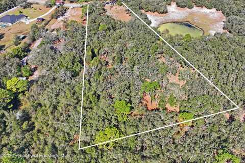 16900 Akins Drive, Shady Hills, FL 34610