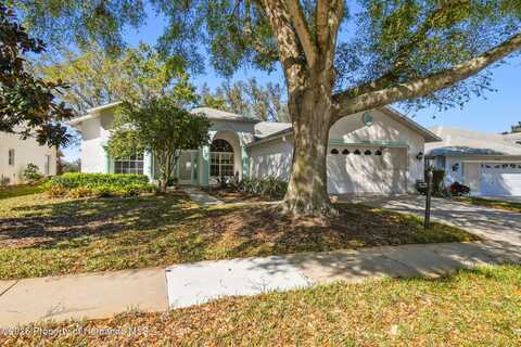 11231 Sun Tree Road, Hudson, FL 34667