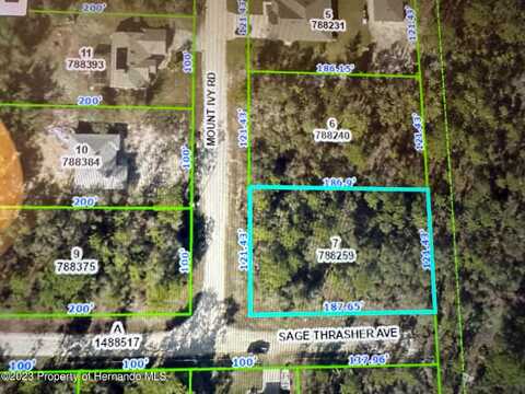 0 Mount Ivy Road, Weeki Wachee, FL 34614