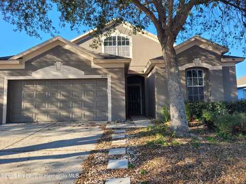 8733 Southern Charm Circle, Brooksville, FL 34613