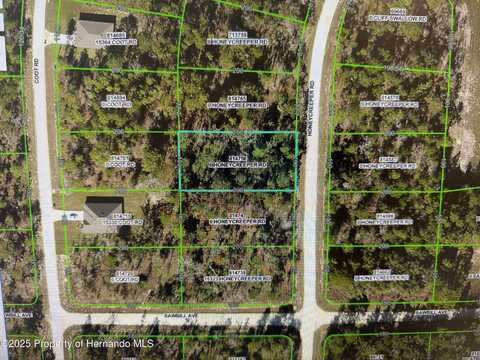 0 Honeycreeper Road, Brooksville, FL 34614