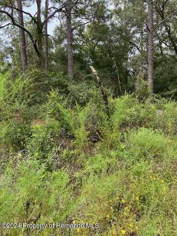 6364 E Seneca Street, Inverness, FL 34452