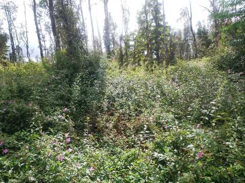 PAHOA RD, PAHOA, HI 96778