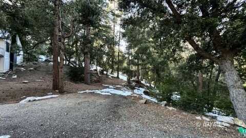 25235 Nestwa Trail, Idyllwild, CA 92549