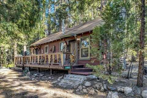 54865 Strong DR, Idyllwild, CA 92549