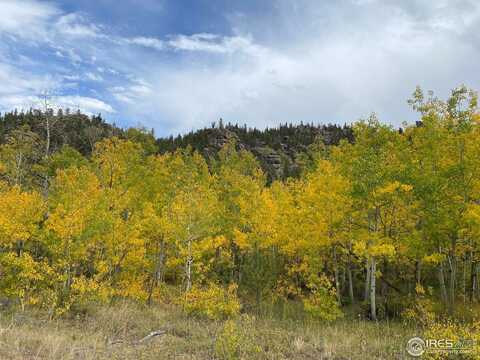53 Ada Ct, Red Feather Lakes, CO 80545