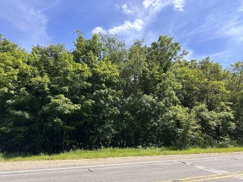 VL Ann Arbor Road, Grass Lake, MI 49240