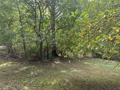 Lot 6 & 7 Westshore Drive, Jerome, MI 49249