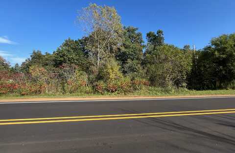 VL Morrill Road, Jackson, MI 49201