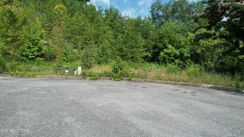 20-r &37 Cherokee Valley Drive, Sevierville, TN 37862