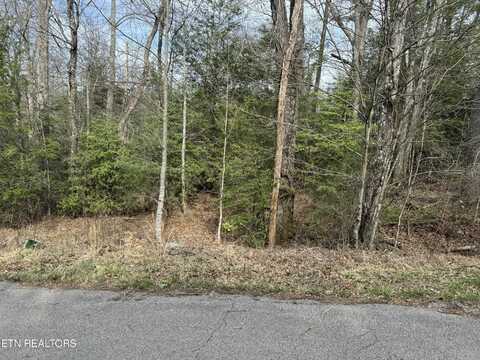 Ferry Bend Tr, Crossville, TN 38571