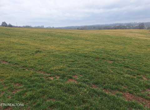 21075 Meadow Rd, Greenback, TN 37742