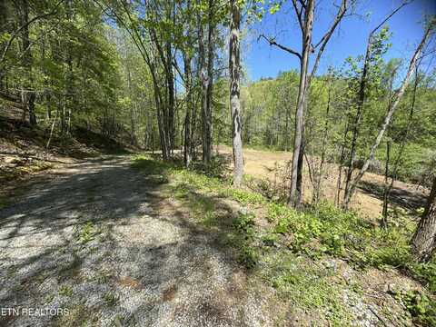 3032 E Highway 25-70, Del Rio, TN 37727