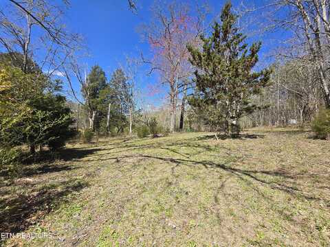 Crabtree Hollow Rd, Ten Mile, TN 37880
