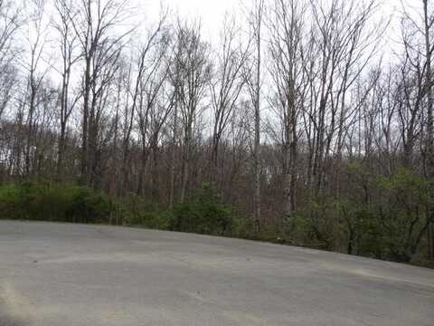 Eugene Court, Crossville, TN 38555