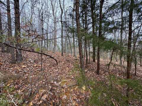 Lot 44 Zuni Way, Del Rio, TN 37727