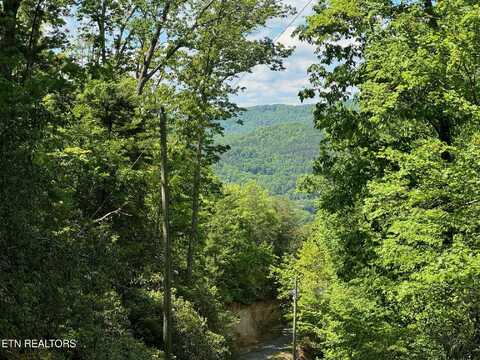 Lot 2 High Ridge Way, Sevierville, TN 37862