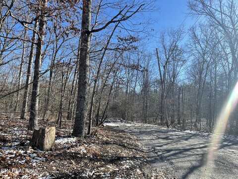 Peachtree Drive, Crossville, TN 38555