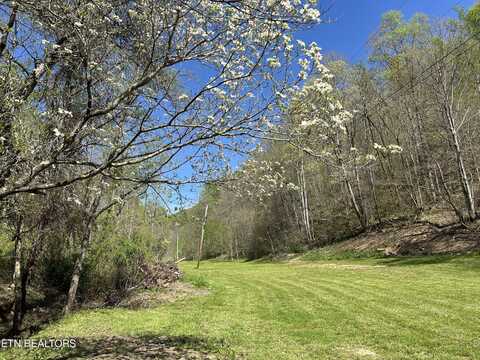 1973 Long Hollow Rd, Sneedville, TN 37869