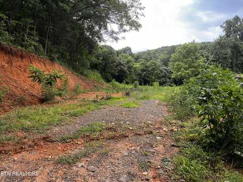 1580 Restful Way, Newport, TN 37821