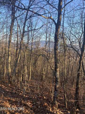 D-7 Lightning Bug Way, Gatlinburg, TN 37738